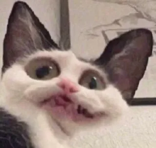😬
