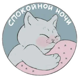 😴
