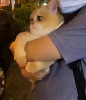 😨