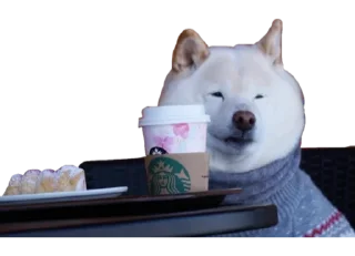 ☕️