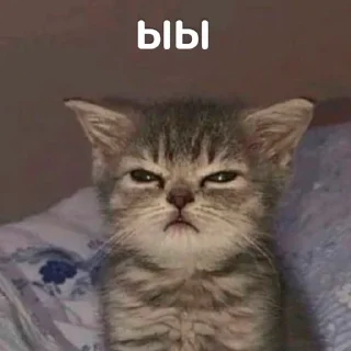 😾