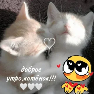 💞