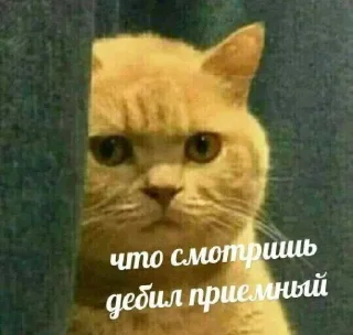 😑