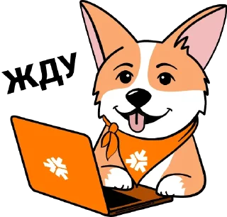 👨‍💻