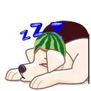 😴