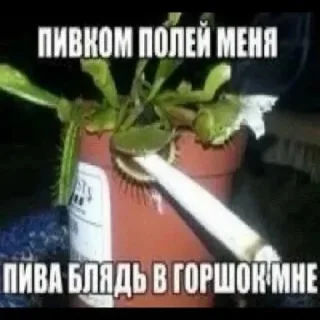 😡