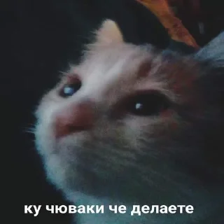 🙃