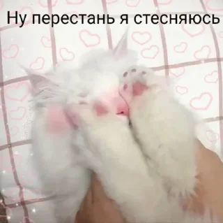 💗