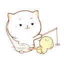 🐱