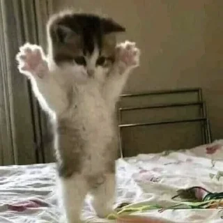 🤗