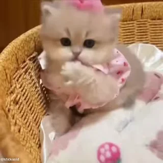 ☺️