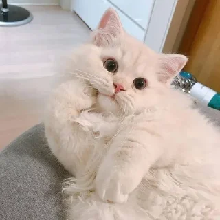 😙