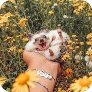 😁