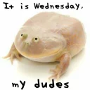 Wednesday My Dudes