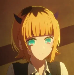 ✨