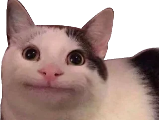 😐