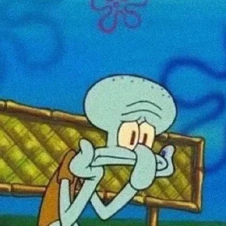 🧽