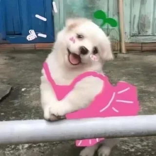 😚