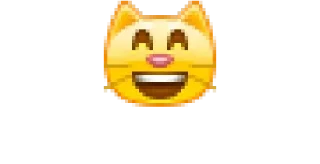 😸