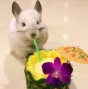 🍹