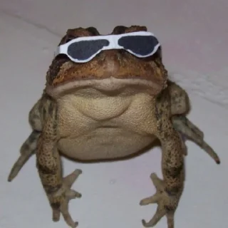 😎