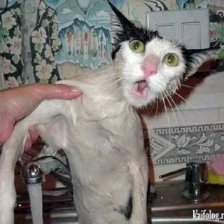 🛁