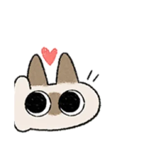😺
