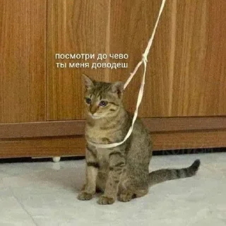 🤔