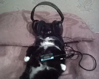 🎧