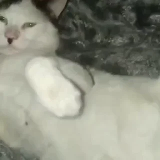 🫥