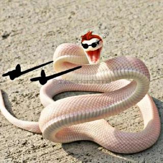 😆
