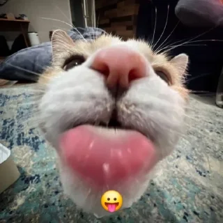 😛