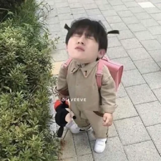 🐺