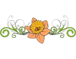 🌼