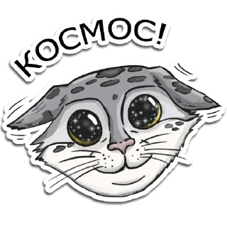 😸