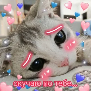 🥺