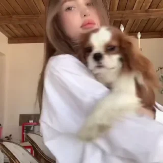 🐶