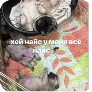 🫥