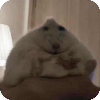🐹