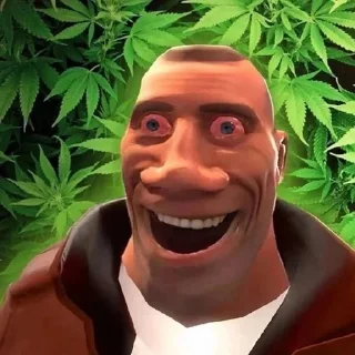 🌿