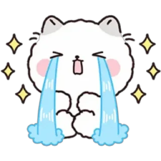✨