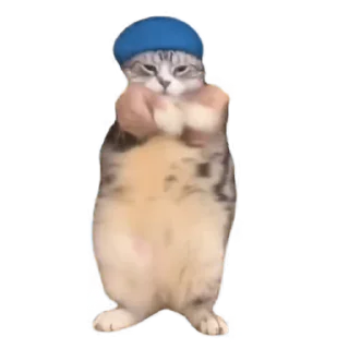 🥳