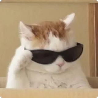 😎
