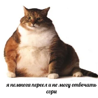 🤭