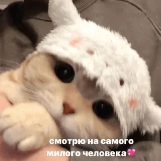 💗