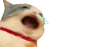 😭