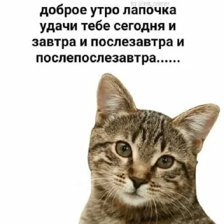 💞