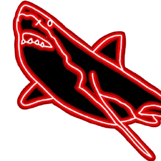 🦈