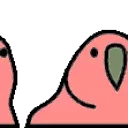 🦜