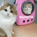 🙈